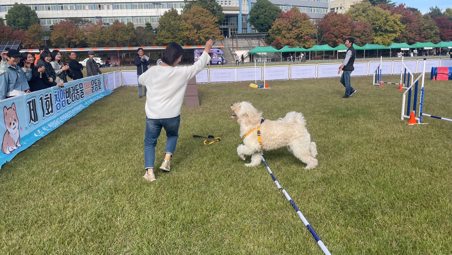 청암대 멍냥운동회