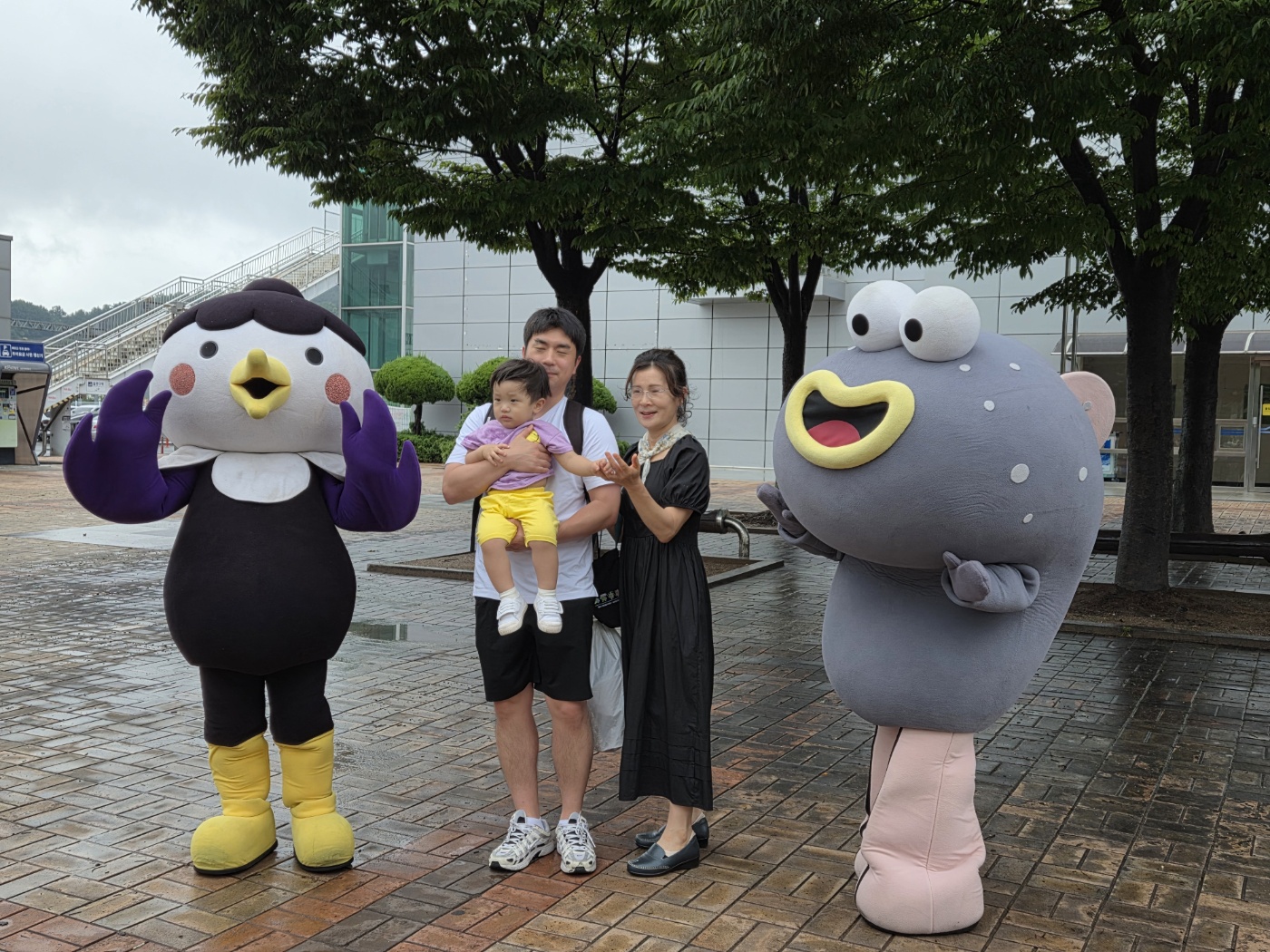 순천시 댕댕트레인과 캠프 어질리티 시범