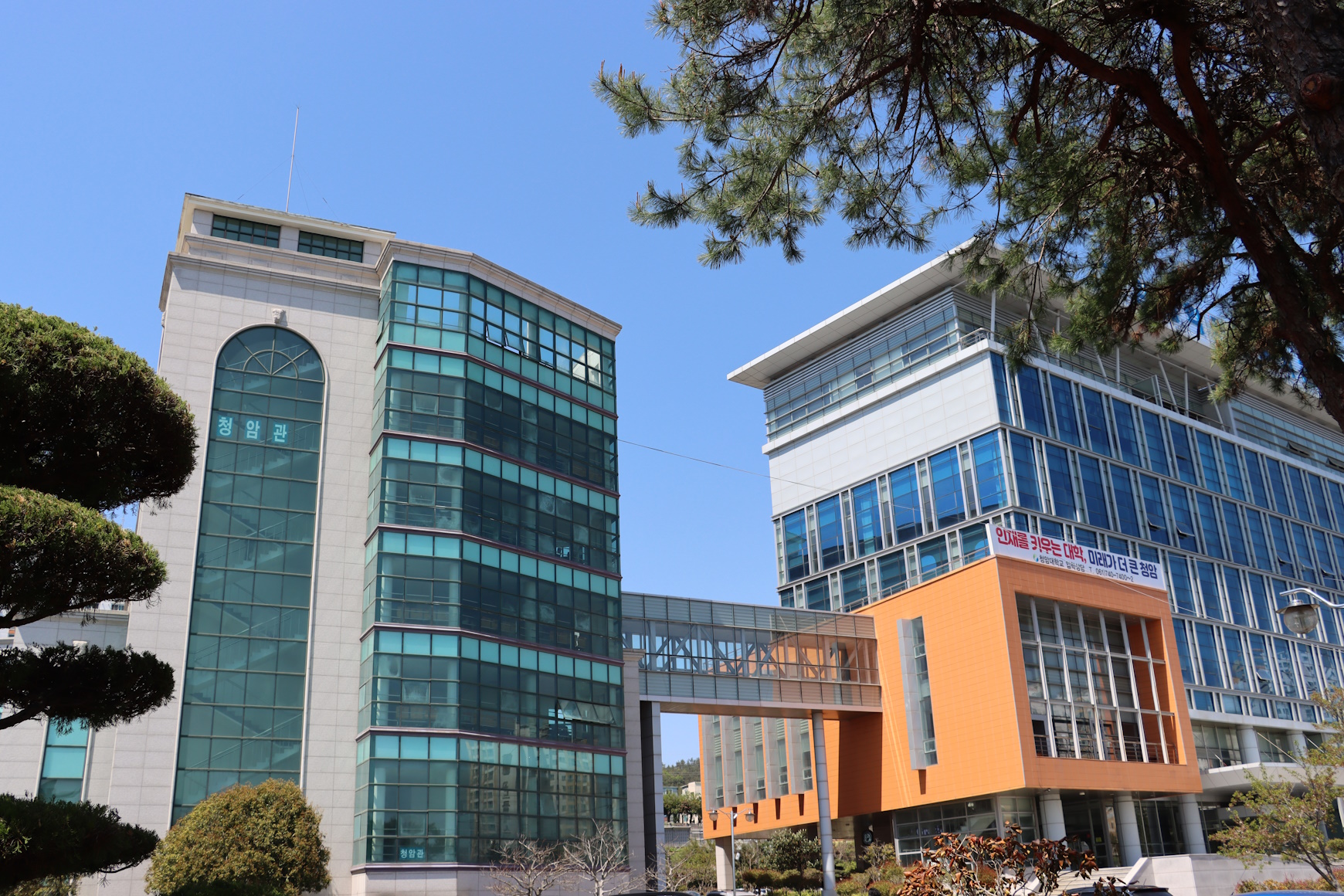 청암대학교 사업단